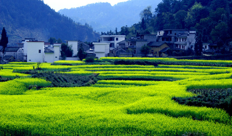 美丽乡村