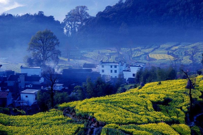 美丽乡村