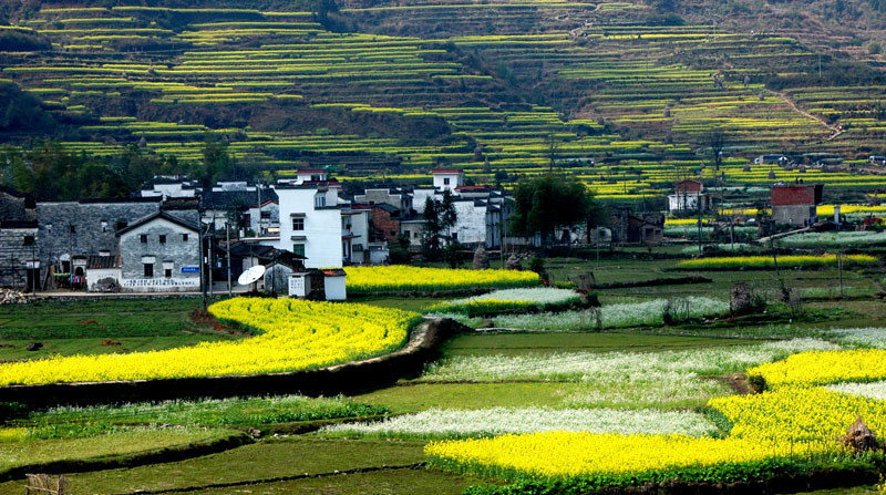 美丽乡村