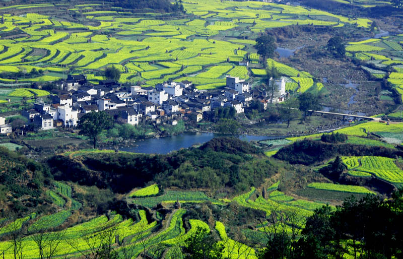 美丽乡村