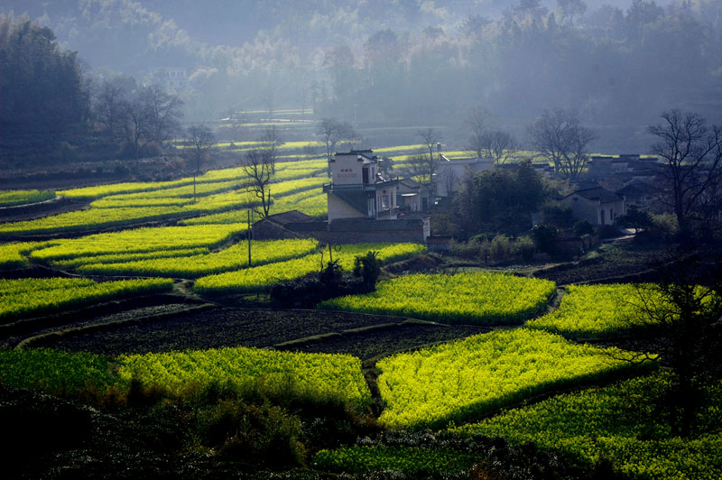美丽乡村