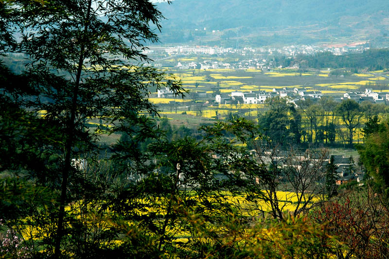 美丽乡村