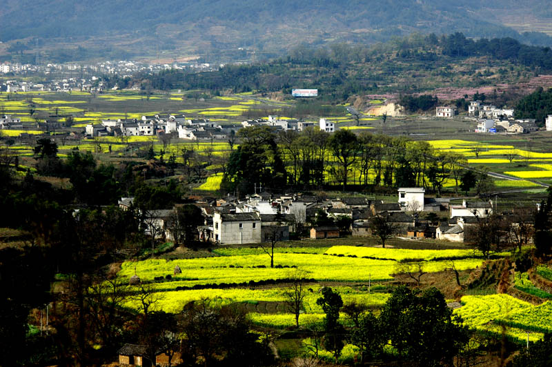美丽乡村