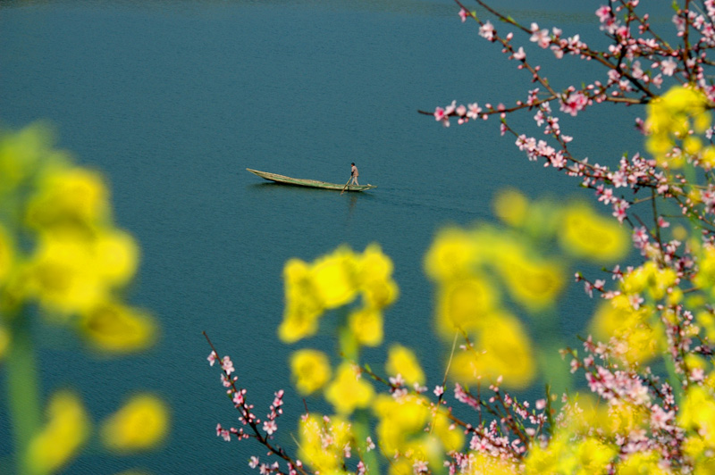 美丽乡村