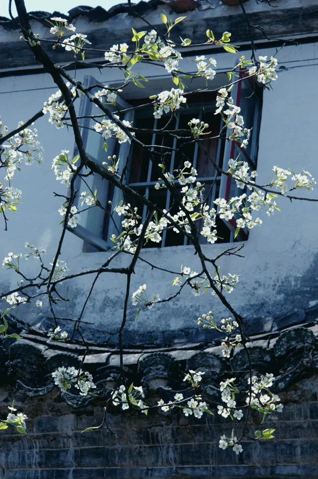 美丽乡村