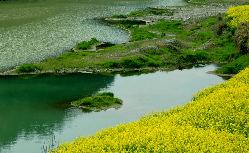 美丽乡村