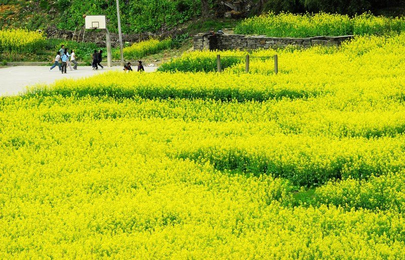 [原创]美丽的婺源