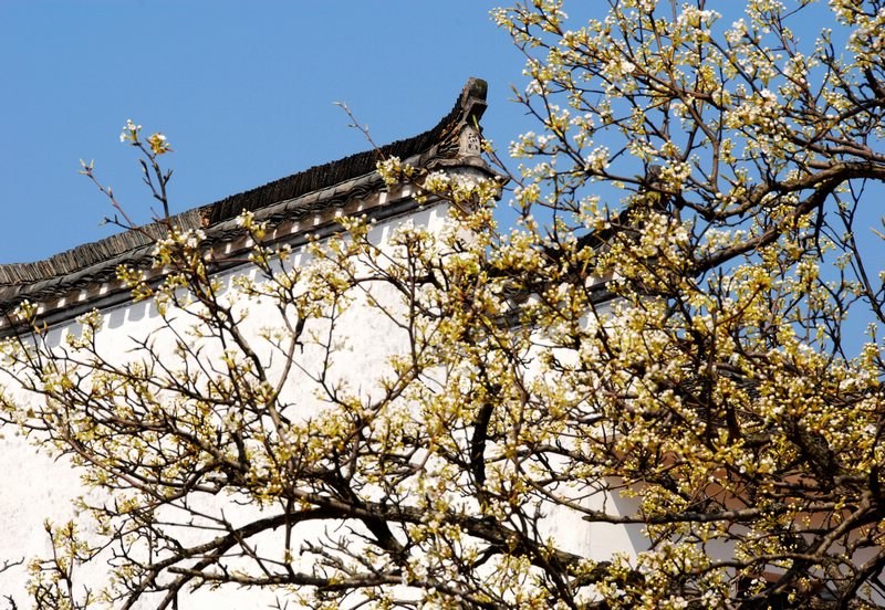 [原创]美丽的婺源