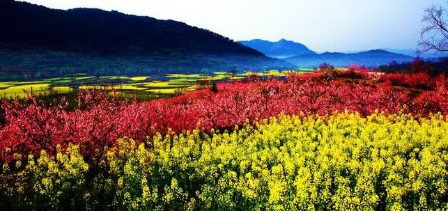 梦里婺源
