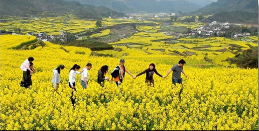3.18—3.23“春暖花开走婺源”摄影采风活动通知