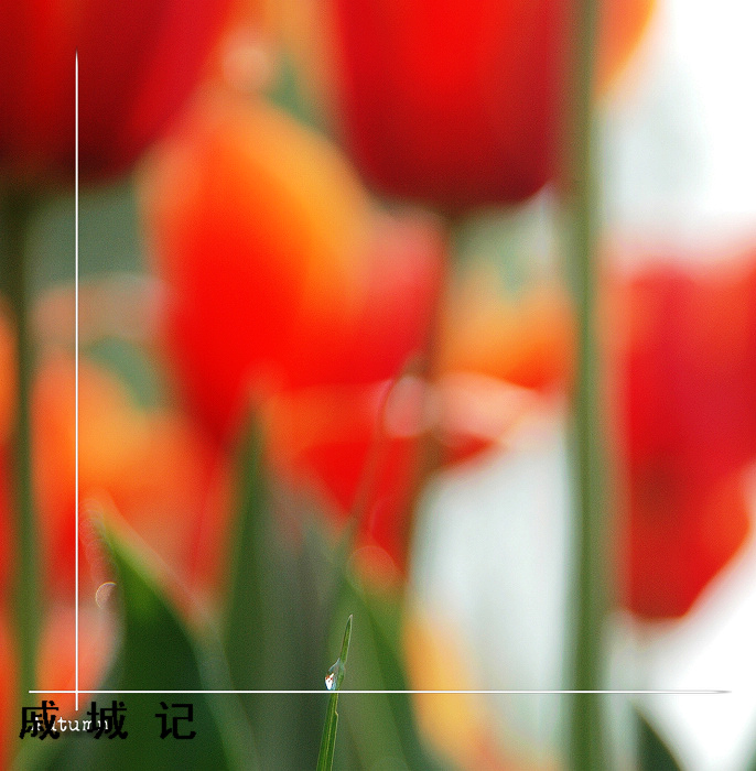 戚  城  记~~~