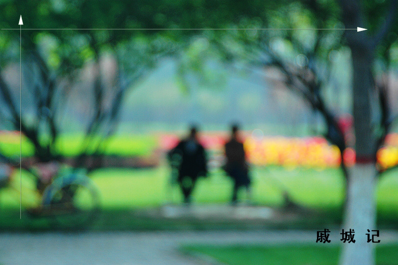 戚  城  记~~~