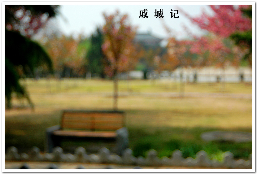 戚  城  记~~~