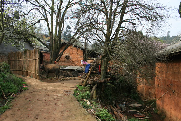 原始的小山村