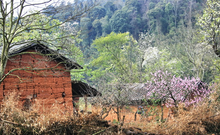 原始的小山村