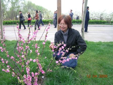2008年4月13日观片及一季度颁奖典礼花絮