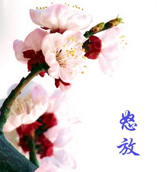 XuE8HA0B.jpg