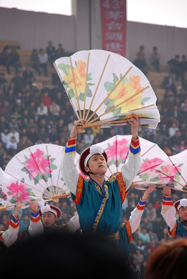菏泽牡丹花会开幕式花絮
