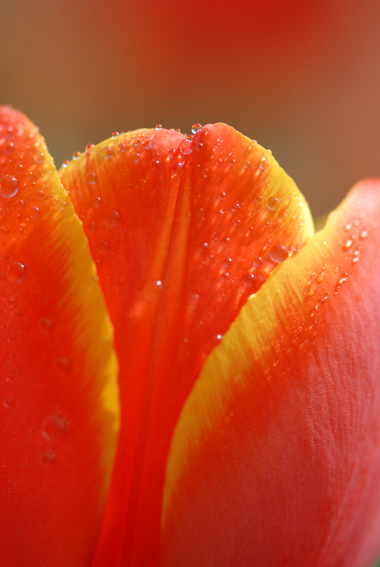 105之光