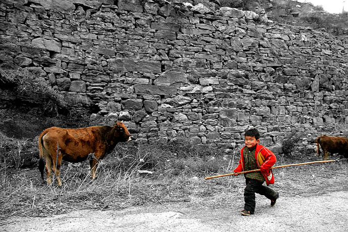 [原创]牛官