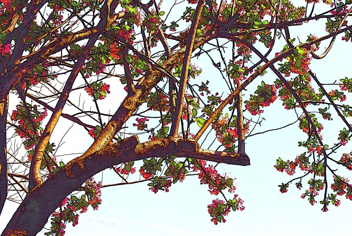 东风吹来满眼春