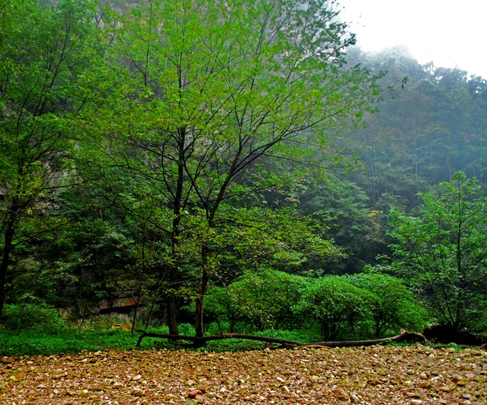 张家界--雨天拍摄