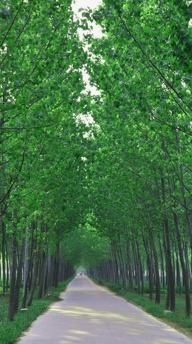 上班路上