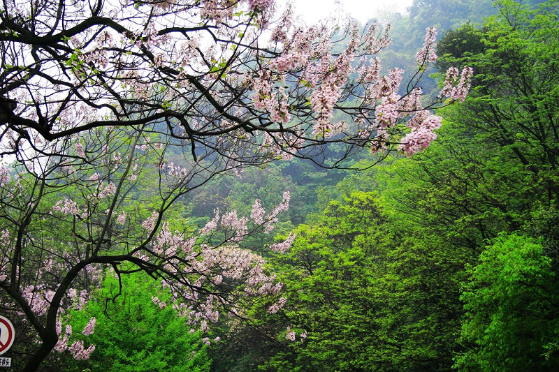 青城山拾零