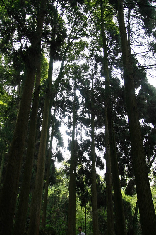 青城山拾零