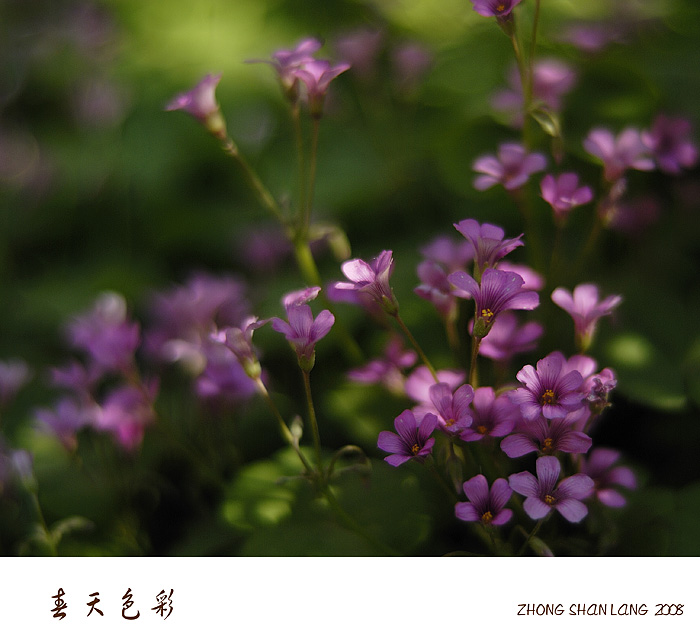 春天色彩