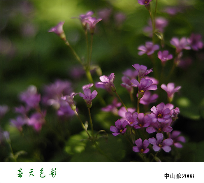 春天色彩