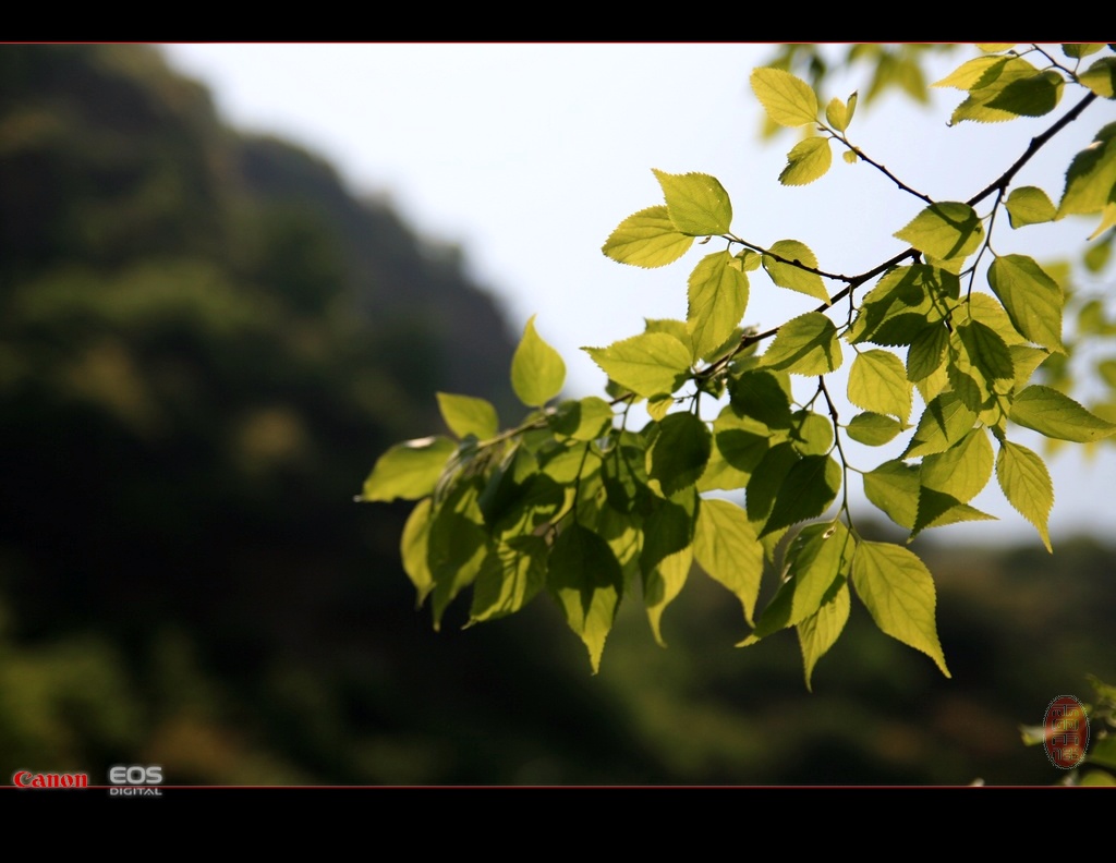 [原创]八里沟的山和水！！！