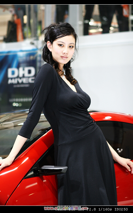 车模
