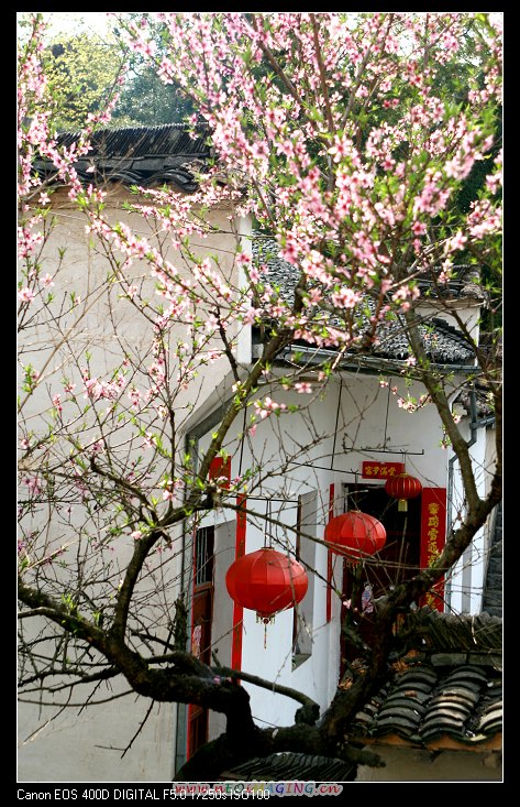 婺源乡村家园