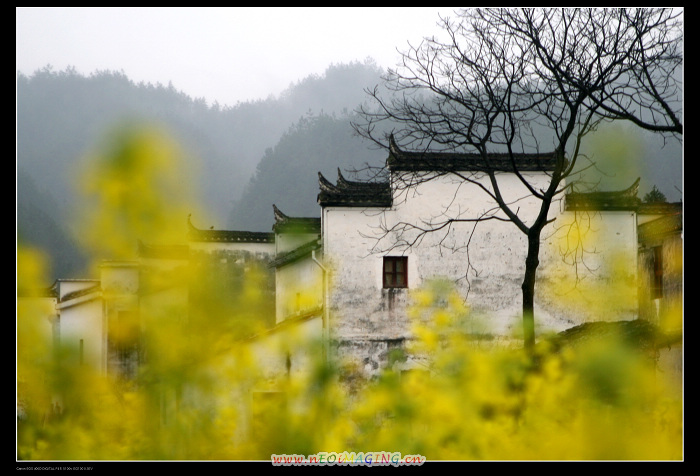 婺源乡村家园