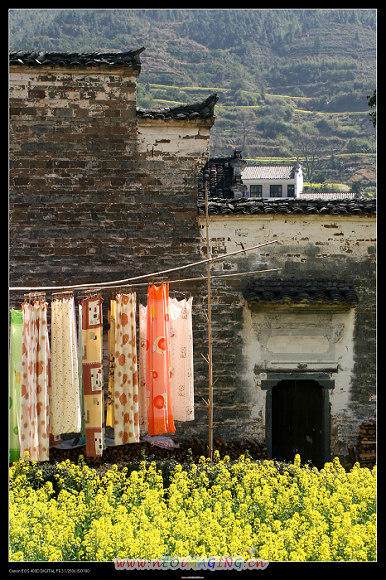 婺源乡村家园