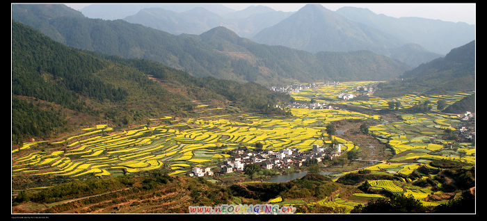 婺源乡村家园