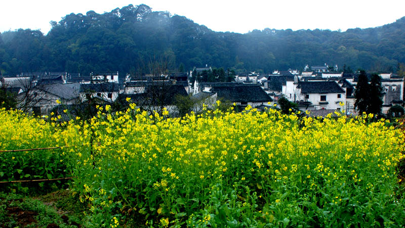 难忘婺源