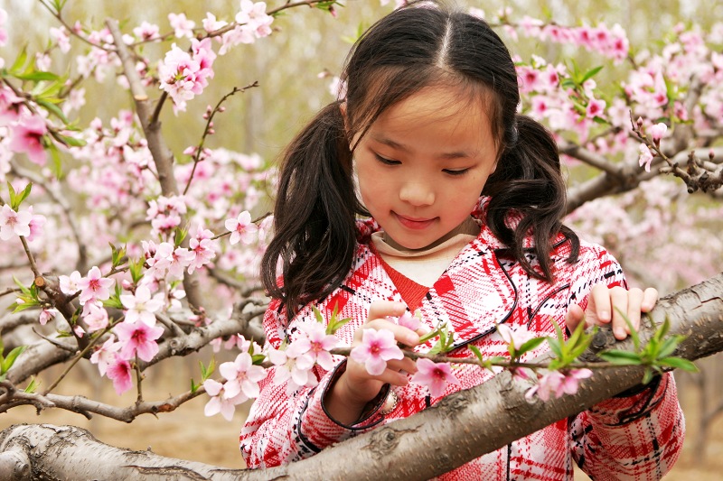 花枝俏