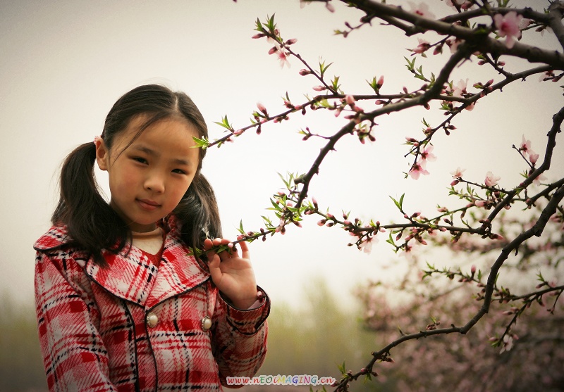 花枝俏