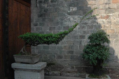 [原创]凤凰古城及茶马古道风情