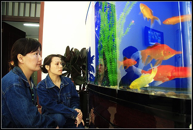 "供水影像"摄影作品专贴