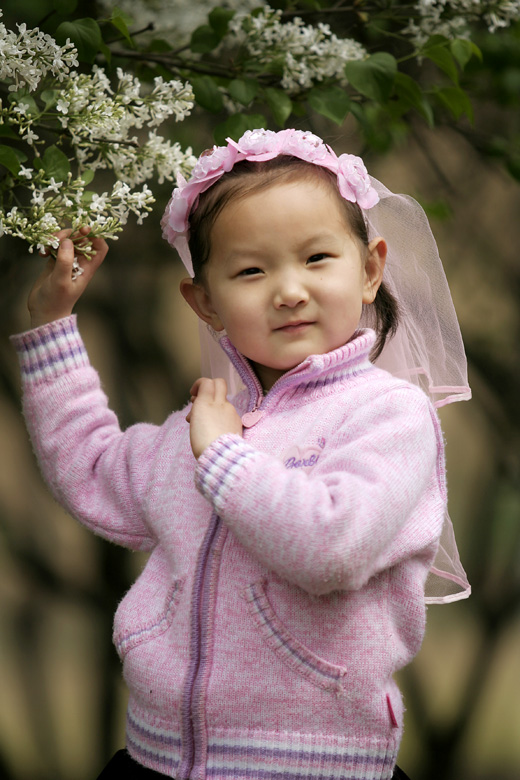 小花朵