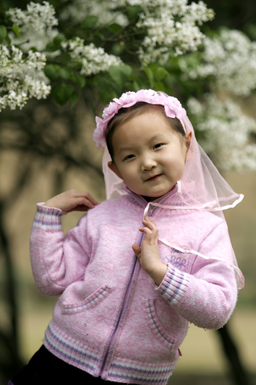 小花朵