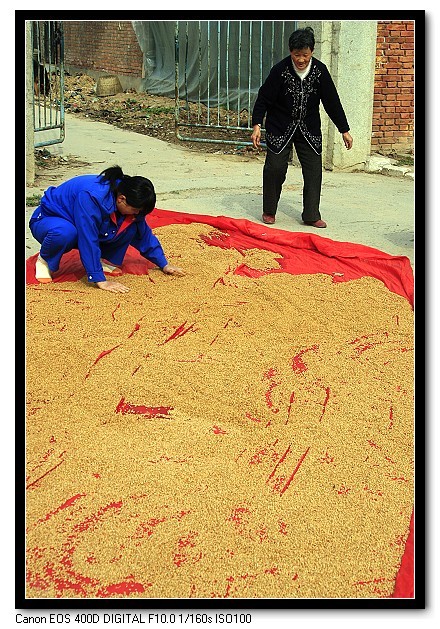 小片两张