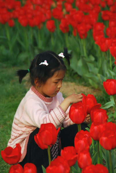 戚城拍花——花中“花”