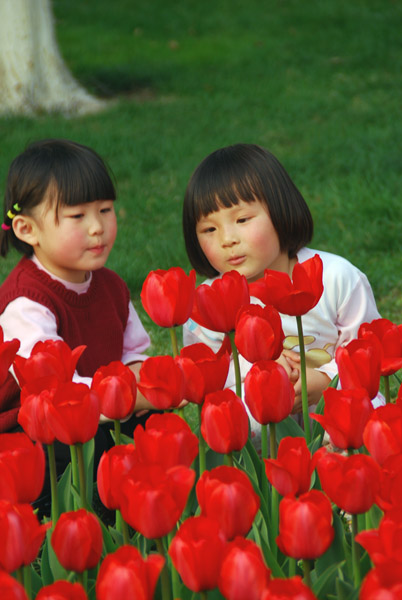 戚城拍花——花中“花”