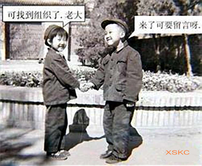 搞笑帖全集