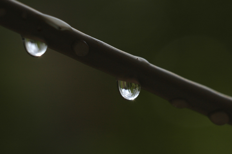 试拍雨滴
