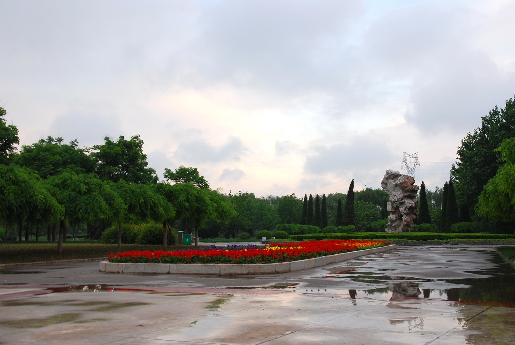 雨后的濮阳